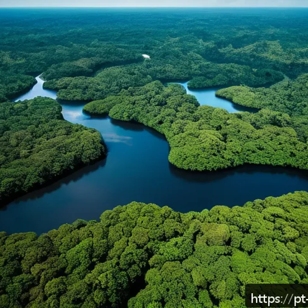 탄소예산과 기후 변화 대응의 사회적 목표 - A detailed aerial view of the Brazilian Amazon rainforest with visible deforestation patches alongsi...