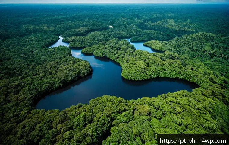탄소예산과 기후 변화 대응의 사회적 목표 - A detailed aerial view of the Brazilian Amazon rainforest with visible deforestation patches alongsi...