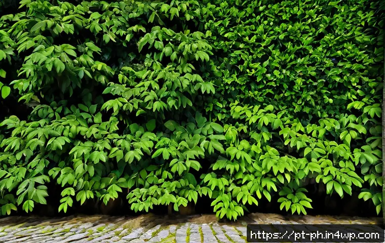 Orçamento de carbono: como avaliar metas sustentáveis e escolher investimentos climáticos 4 탄소예산과 생태적 지속 가능성 관련 이미지 2